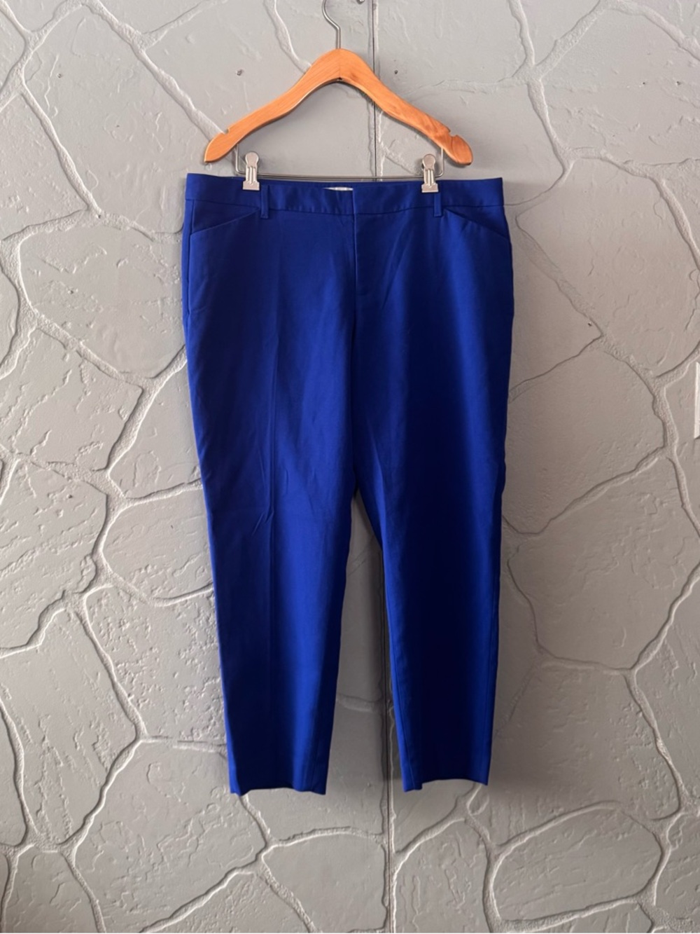 Gap Slim Cropped Pants Blue Stretch Ankle Size 12